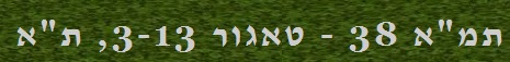 
      תמ